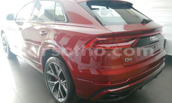 اشتري مستعمل Audi quattro Red سيارة في Maseru في Maseru اشتري مستعمل Audi quattro Red سيارة في Maseru في Maseru