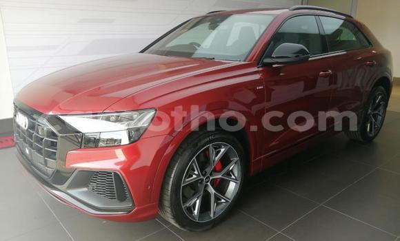 اشتري مستعمل Audi quattro Red سيارة في Maseru في Maseru اشتري مستعمل Audi quattro Red سيارة في Maseru في Maseru