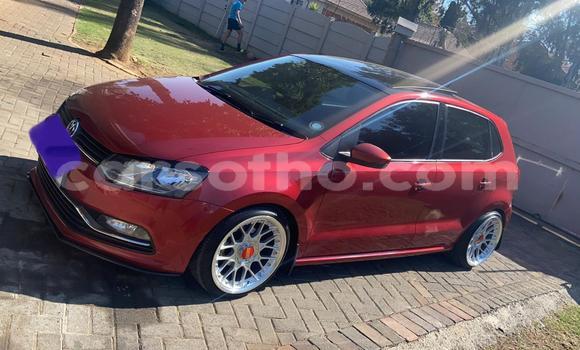 Acheter Occasion Voiture Volkswagen Polo Rouge à Mafeteng, Mafeteng Acheter Occasion Voiture Volkswagen Polo Rouge à Mafeteng, Mafeteng
