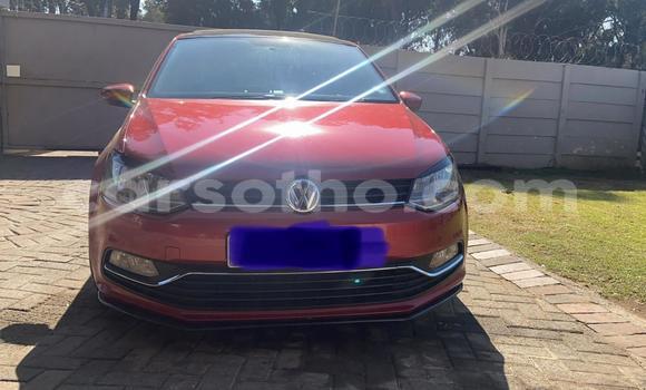 Acheter Occasion Voiture Volkswagen Polo Rouge à Mafeteng, Mafeteng Acheter Occasion Voiture Volkswagen Polo Rouge à Mafeteng, Mafeteng