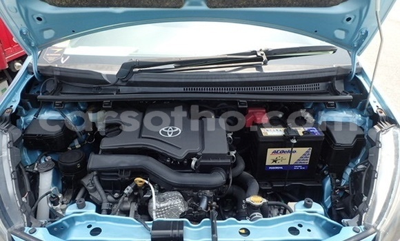 Buy Used Toyota Vitz Blue Car in Maputsoe in Leribe Buy Used Toyota Vitz Blue Car in Maputsoe in Leribe