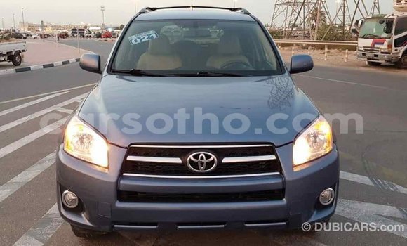 Buy Import Toyota RAV4 Blue Car in Import - Dubai in Maseru Buy Import Toyota RAV4 Blue Car in Import - Dubai in Maseru