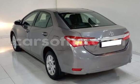 Sayi Na hannu Toyota Corolla Silver Mota in Hlotse a Leribe Sayi Na hannu Toyota Corolla Silver Mota in Hlotse a Leribe