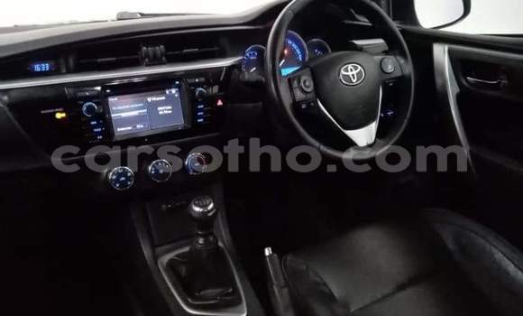 Sayi Na hannu Toyota Corolla Silver Mota in Hlotse a Leribe Sayi Na hannu Toyota Corolla Silver Mota in Hlotse a Leribe