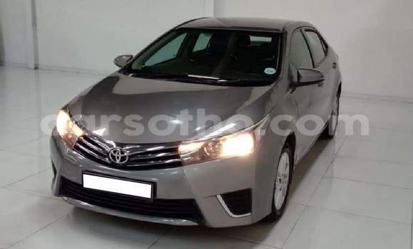Sayi Na hannu Toyota Corolla Silver Mota in Hlotse a Leribe Sayi Na hannu Toyota Corolla Silver Mota in Hlotse a Leribe