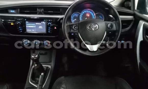 Sayi Na hannu Toyota Corolla Silver Mota in Hlotse a Leribe Sayi Na hannu Toyota Corolla Silver Mota in Hlotse a Leribe