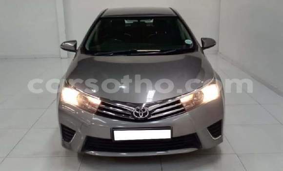 Sayi Na hannu Toyota Corolla Silver Mota in Hlotse a Leribe Sayi Na hannu Toyota Corolla Silver Mota in Hlotse a Leribe