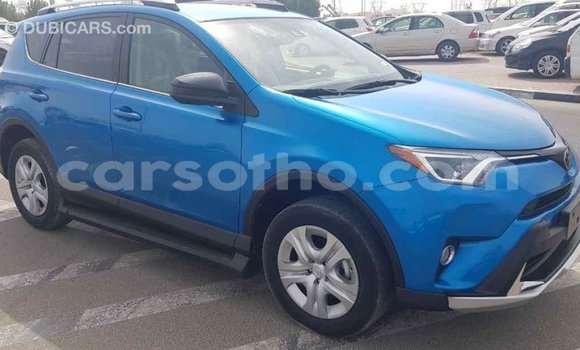 Buy Import Toyota RAV4 Blue Car in Import - Dubai in Maseru Buy Import Toyota RAV4 Blue Car in Import - Dubai in Maseru