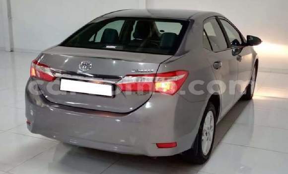 Sayi Na hannu Toyota Corolla Silver Mota in Hlotse a Leribe Sayi Na hannu Toyota Corolla Silver Mota in Hlotse a Leribe