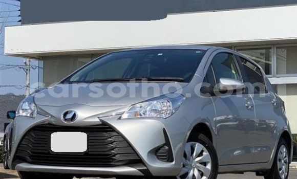 Buy Used Toyota Vitz Silver Car in Maseru in Maseru Buy Used Toyota Vitz Silver Car in Maseru in Maseru