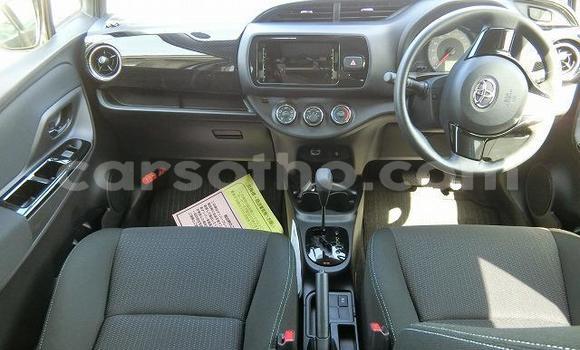 اشتري مستعمل Toyota Vitz White سيارة في Butha Buthe في Butha-Buthe اشتري مستعمل Toyota Vitz White سيارة في Butha Buthe في Butha-Buthe