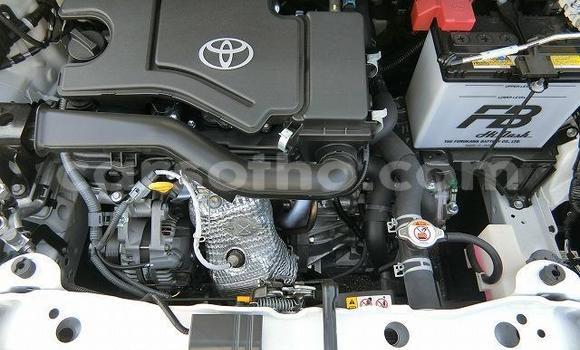 اشتري مستعمل Toyota Vitz White سيارة في Butha Buthe في Butha-Buthe اشتري مستعمل Toyota Vitz White سيارة في Butha Buthe في Butha-Buthe