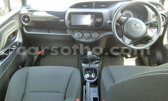 اشتري مستعمل Toyota Vitz Silver سيارة في Butha Buthe في Butha-Buthe اشتري مستعمل Toyota Vitz Silver سيارة في Butha Buthe في Butha-Buthe