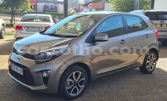 Buy Used Kia Picanto Silver Car in Maseru in Maseru Buy Used Kia Picanto Silver Car in Maseru in Maseru