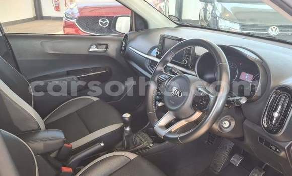Buy Used Kia Picanto Silver Car in Maseru in Maseru Buy Used Kia Picanto Silver Car in Maseru in Maseru