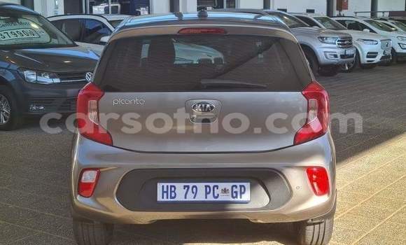 Buy Used Kia Picanto Silver Car in Maseru in Maseru Buy Used Kia Picanto Silver Car in Maseru in Maseru