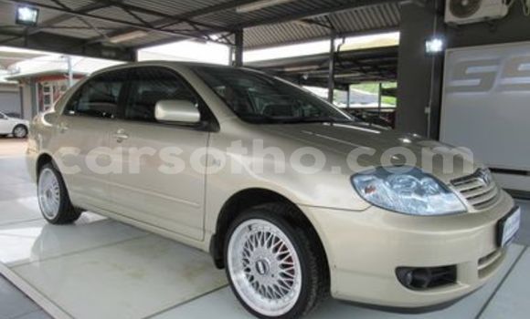 Buy Used Toyota Corolla Other Car in Butha–Buthe in Thaba-Tseka Buy Used Toyota Corolla Other Car in Butha–Buthe in Thaba-Tseka