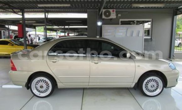 Buy Used Toyota Corolla Other Car in Butha–Buthe in Thaba-Tseka Buy Used Toyota Corolla Other Car in Butha–Buthe in Thaba-Tseka