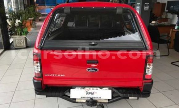 اشتري مستعمل FORD MUSTANG Red سيارة في Butha–Buthe في Thaba-Tseka اشتري مستعمل FORD MUSTANG Red سيارة في Butha–Buthe في Thaba-Tseka