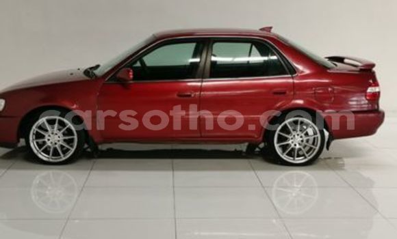 اشتري مستعمل Toyota Corolla Other سيارة في Butha–Buthe في Thaba-Tseka اشتري مستعمل Toyota Corolla Other سيارة في Butha–Buthe في Thaba-Tseka
