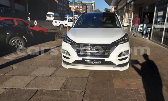 اشتري مستعمل Hyundai Tucson White سيارة في Maseru في Maseru اشتري مستعمل Hyundai Tucson White سيارة في Maseru في Maseru