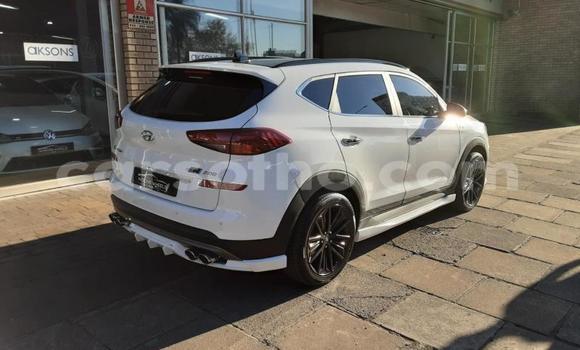 اشتري مستعمل Hyundai Tucson White سيارة في Maseru في Maseru اشتري مستعمل Hyundai Tucson White سيارة في Maseru في Maseru