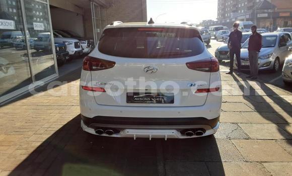 اشتري مستعمل Hyundai Tucson White سيارة في Maseru في Maseru اشتري مستعمل Hyundai Tucson White سيارة في Maseru في Maseru