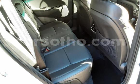 اشتري مستعمل Hyundai Tucson White سيارة في Maseru في Maseru اشتري مستعمل Hyundai Tucson White سيارة في Maseru في Maseru