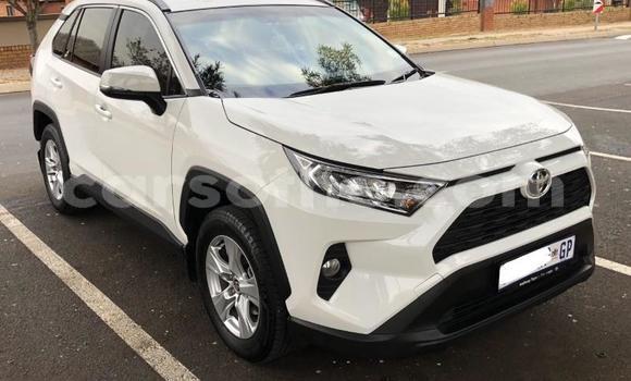 اشتري مستعمل Hyundai Tucson White سيارة في Maseru في Maseru اشتري مستعمل Hyundai Tucson White سيارة في Maseru في Maseru