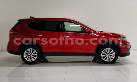 اشتري مستعمل Nissan X–Trail Red سيارة في Maseru في Maseru اشتري مستعمل Nissan X–Trail Red سيارة في Maseru في Maseru