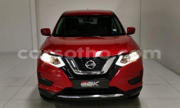 اشتري مستعمل Nissan X–Trail Red سيارة في Maseru في Maseru اشتري مستعمل Nissan X–Trail Red سيارة في Maseru في Maseru