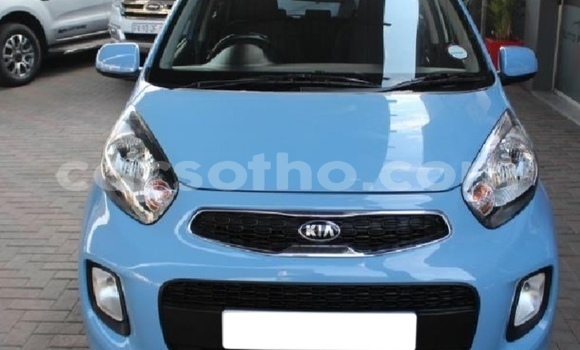 Sayi Na hannu Kia Picanto Blue Mota in Butha–Buthe a Thaba-Tseka Sayi Na hannu Kia Picanto Blue Mota in Butha–Buthe a Thaba-Tseka