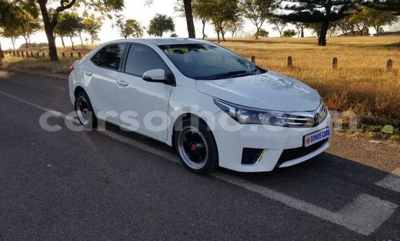 Buy Used Toyota Corolla White Car in Maseru in Maseru Buy Used Toyota Corolla White Car in Maseru in Maseru