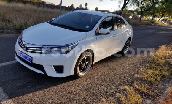 Buy Used Toyota Corolla White Car in Maseru in Maseru Buy Used Toyota Corolla White Car in Maseru in Maseru