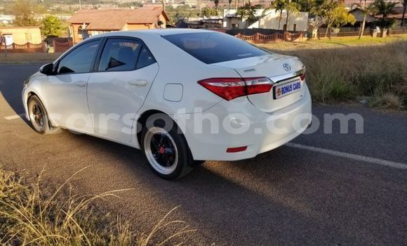 Buy Used Toyota Corolla White Car in Maseru in Maseru Buy Used Toyota Corolla White Car in Maseru in Maseru