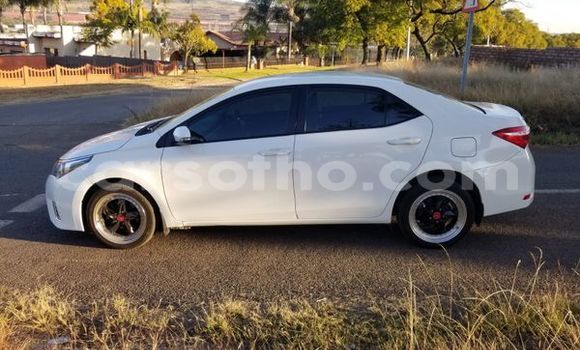 Buy Used Toyota Corolla White Car in Maseru in Maseru Buy Used Toyota Corolla White Car in Maseru in Maseru