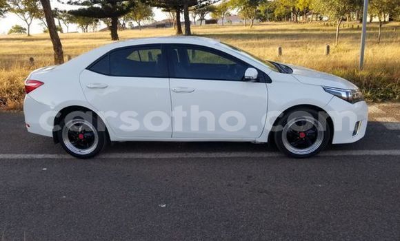 Buy Used Toyota Corolla White Car in Maseru in Maseru Buy Used Toyota Corolla White Car in Maseru in Maseru