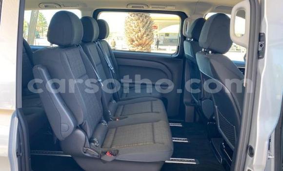 اشتري مستعمل Mercedes-Benz Vito Silver سيارة في Maseru في Maseru اشتري مستعمل Mercedes-Benz Vito Silver سيارة في Maseru في Maseru