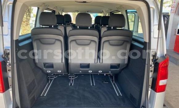 اشتري مستعمل Mercedes-Benz Vito Silver سيارة في Maseru في Maseru اشتري مستعمل Mercedes-Benz Vito Silver سيارة في Maseru في Maseru
