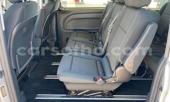 اشتري مستعمل Mercedes-Benz Vito Silver سيارة في Maseru في Maseru اشتري مستعمل Mercedes-Benz Vito Silver سيارة في Maseru في Maseru