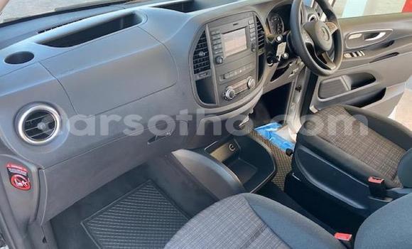 اشتري مستعمل Mercedes-Benz Vito Silver سيارة في Maseru في Maseru اشتري مستعمل Mercedes-Benz Vito Silver سيارة في Maseru في Maseru