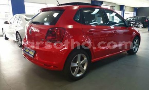 اشتري مستعمل Volkswagen Polo Red سيارة في Butha Buthe في Butha-Buthe اشتري مستعمل Volkswagen Polo Red سيارة في Butha Buthe في Butha-Buthe