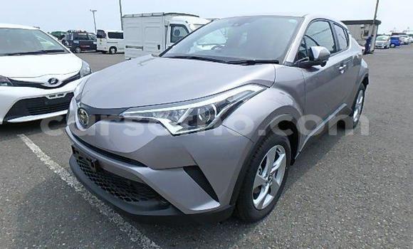 اشتري مستعمل Toyota C-HR Other سيارة في Maseru في Maseru اشتري مستعمل Toyota C-HR Other سيارة في Maseru في Maseru