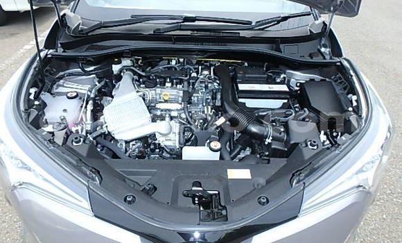 اشتري مستعمل Toyota C-HR Other سيارة في Maseru في Maseru اشتري مستعمل Toyota C-HR Other سيارة في Maseru في Maseru