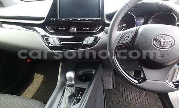 اشتري مستعمل Toyota C-HR Other سيارة في Maseru في Maseru اشتري مستعمل Toyota C-HR Other سيارة في Maseru في Maseru
