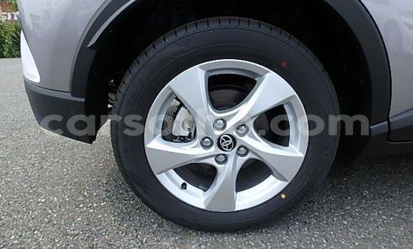 اشتري مستعمل Toyota C-HR Other سيارة في Maseru في Maseru اشتري مستعمل Toyota C-HR Other سيارة في Maseru في Maseru