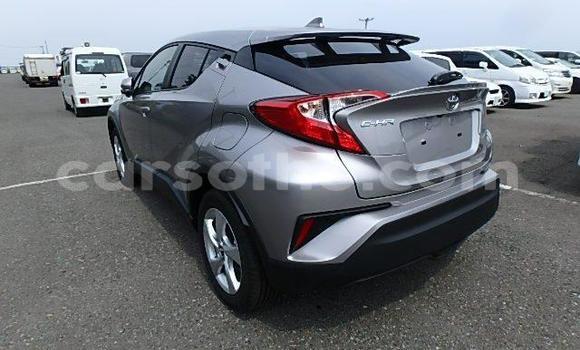 اشتري مستعمل Toyota C-HR Other سيارة في Maseru في Maseru اشتري مستعمل Toyota C-HR Other سيارة في Maseru في Maseru