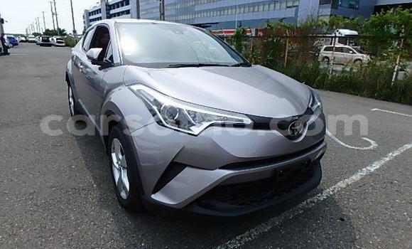اشتري مستعمل Toyota C-HR Other سيارة في Maseru في Maseru اشتري مستعمل Toyota C-HR Other سيارة في Maseru في Maseru