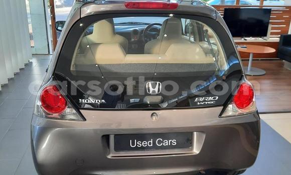 اشتري مستعمل Honda Brio Beige سيارة في Mafeteng في Mafeteng اشتري مستعمل Honda Brio Beige سيارة في Mafeteng في Mafeteng