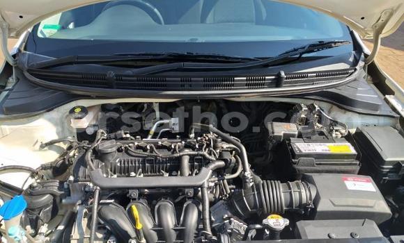 اشتري مستعمل Kia Rio White سيارة في Mafeteng في Mafeteng اشتري مستعمل Kia Rio White سيارة في Mafeteng في Mafeteng